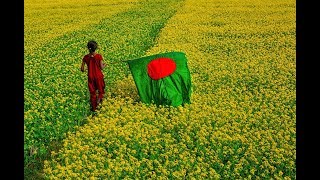 Amar Sonar Bangla Ami Tomai Valobashi Bangladesh National Song [upl. by Galanti]