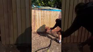 Erbauer 800watt paint sprayer in action Fence painting [upl. by Frayda]