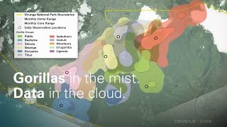 Protecting Gorillas in the Mist with Data in the Cloud [upl. by Ecinaj279]