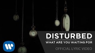 Disturbed  What Are You Waiting For Official Lyric Video [upl. by Eicirtap693]