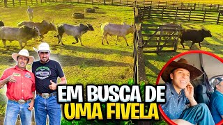 EM BUSCA DE UMA FIVELA PARA O FILHO DO GERENTE [upl. by Nalac]