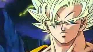 DBZ AMVGoku Warrior Disturbed [upl. by Atsahc]