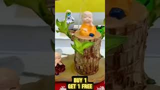 Lucky Brazil Wood Potted Plant BUY 1 GET 1 FREE 1 [upl. by Eerb394]