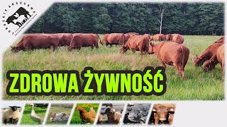 Lubuskie Angusowo  S6 E14  Zdrowa żywność to podstawa rozwoju człowieka [upl. by Gwenny]