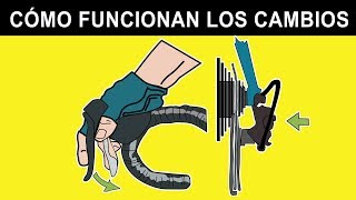 CAMBIOS DE LA BICICLETA ¿CÓMO FUNCIONAN 🚲🔧 Mecánica Básica [upl. by Amron]