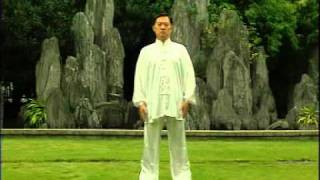 Qi Gong  Medicina Chinesa Tradicional [upl. by Ruphina48]