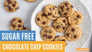 Sugar Free Chocolate Chip Cookies For Diabetics  The Easiest Low Sugar Cookie Recipe Ever [upl. by Eachelle]