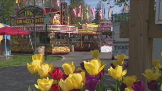 67th annual Tulip Fest kicks off in Holland [upl. by Conlan]