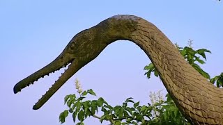 Dinosaurs The Facts and Fiction  How to Build a Dinosaur  BBC Earth [upl. by Earla]