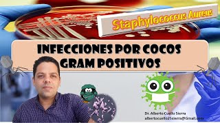 Microbiología Infección por Staphylococcus Aureus [upl. by Jorie]