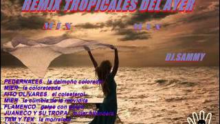 REMIX TROPICALES DEL AYER MIX DJ SAMMY [upl. by Acimaj942]