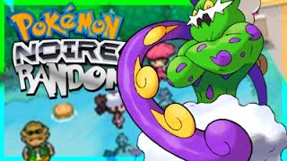 PERDU DANS LE MARAIS   Ep12  Pokemon Noir Random [upl. by Alledi205]