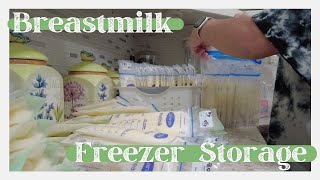 BREASTMILK FREEZER STORAGE  Deep Freezer Organization 2024 [upl. by Ludba]