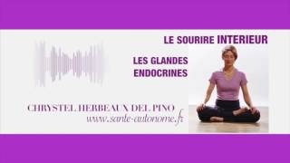 SOURIRE INTERIEUR – GLANDES ENDOCRINES [upl. by Zeuqirdor512]