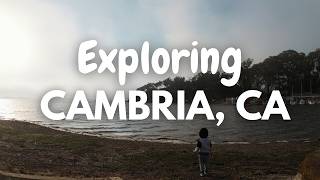 Exploring Cambria VLOG Day 1 Cambria Pines Lodge Morro Bay Campground Marina Peninsula Trail [upl. by Maccarone]