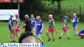 Tipperary Camogie Live Stream [upl. by Naloc]