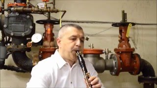 Romanian Folk Dances Bela Bartok Milan Milosevic  clarinet amp tárogató CChow  piano [upl. by Eibreh]