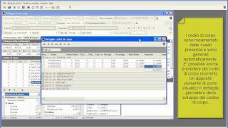 Video dimostrativo software Buste Paga ASP03 2000 [upl. by Coady]