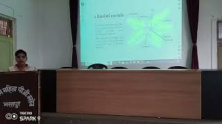 Water Vascular System  Class Seminar [upl. by Warfold]