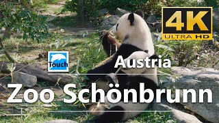 Zoo Schönbrunn Vienna Austria ► Travel Video 4K ► Travel in Austria TouchOfWorld [upl. by Mimajneb]