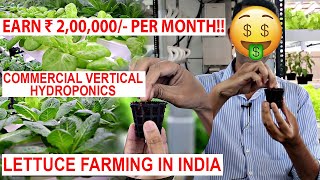 COMMERCIAL HYDROPONICSVERTICAL FARMING MODEL★Lettuce Farming In Goa India [upl. by Seligmann]