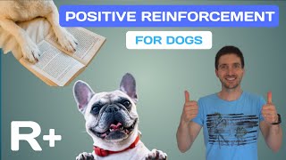 DOG TRAINING with POSITIVE REINFORCEMENT Definition Examples Benefits [upl. by Otho516]