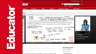 Diffusion and Osmosis Lab [upl. by Notneb]