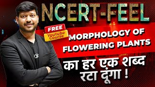 Chapter5 Morphology of Flowering Plants  360360 NCERT Feel Series neet2024 NEETkakaJEE [upl. by Modeste]