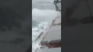 Cargo Carrier BATTLES Fierce Typhoon caughtoncameraunbelievable shorts [upl. by Connie]