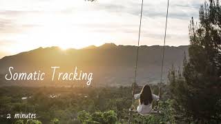 Somatic Tracking 2 minutes [upl. by Bitthia]