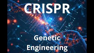 How CRISPR Works The Future of Genetic Engineering [upl. by Seabrook]