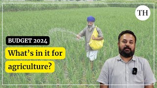 Budget 2024 Whats in it for agriculture [upl. by Burlie]