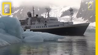 Killer Whales vs Minke Whale  National Geographic [upl. by Stetson]