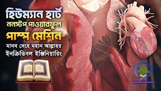 হৃদপিন্ড ননস্টপ পাওয়ারফুল পাম্পমেশিন মানব দেহে মহান আল্লাহর অনন্য নিদর্শন। Human heart by Quran [upl. by Ennayehc]