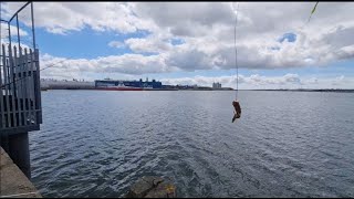 Town quay fishing [upl. by Newmann444]