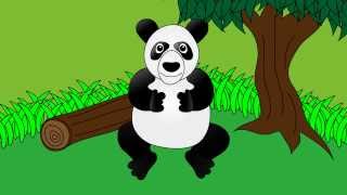 Meet the Panda  Animals at the Zoo  Animal Sounds  Learn the Sounds Zoo Animals Make [upl. by Hansel]