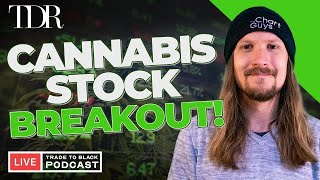 Cannabis Stocks Rip Higher amp SNDL Earnings Recap  Trade To Black [upl. by Weywadt]