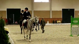 Potęga skoku w damskim siodle  Sidesaddle jump in Janow Podlaski [upl. by Thornburg442]