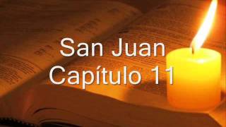 SAN JUAN COMPLETO BIBLIA HABLADA Y DRAMATIZADA NVI [upl. by Thorne702]