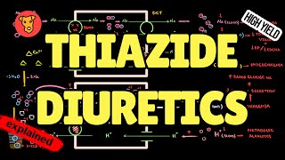 THIAZIDES DIURETICS Mechanism of action Side effect Pharmacology USMLE [upl. by Anairb]