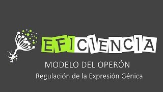 MODELO DEL OPERÓN Regulación de la Expresión Génica [upl. by Inalaehak]