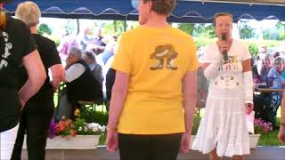 Line Dance Country Day in Mandelshagen am 24052014 ALD  Huckle Buck [upl. by Dlaregztif]