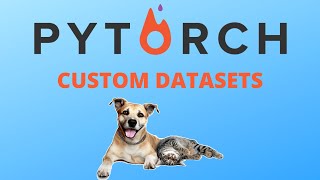 How to build custom Datasets for Images in Pytorch [upl. by Decima]