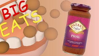 Dans Big Eats  Pataks PHAL Curry [upl. by Alfy]