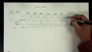 Concentrations Part 5  serial dilution [upl. by Airahs]