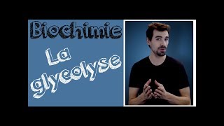 Cours de biochimie Glycolyse [upl. by Ellimac854]