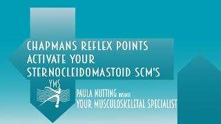 Chapmans Reflex Points  Activate your SternoCleidoMastoid SCMs  Your Musculoskeletal Specialist [upl. by Hadihahs]