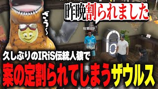 【ストグラ】ゴンから緊急招集されてUforUでIRiS伝統人狼が開催されて案の定割られてしまうザウルス【柳瀬つんつんザウルス切り抜き】 [upl. by Siraj]