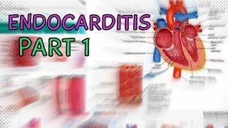 What is Endocarditis  Part 1 [upl. by Pasco]