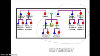 Kinship presentation [upl. by Ariec]